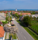 Frissítik az országos madárvédelmi térképet