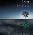 Paolo Giordano: Ezüst és fekete