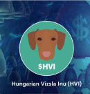 Kínai tőzsdén a vizsla