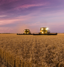 Magyar irányítás alá került a Glencore Agriculture csehországi leányvállalata