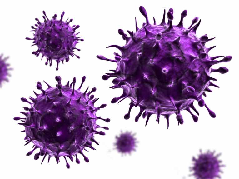 Vírusos betegségek mostanában 2018