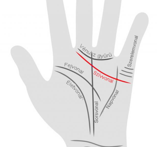 Mit mondanak a vonalak a kezeken. Mit jelentenek a kézen lévő vonalak. Párhuzamos jelek jelenléte
