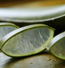 Aloe varázs