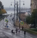 Télen is legyen a gyalogosoké a rakpart, kérik a civilek