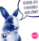 Tóth Gabi: „Mintha engem nyúztak volna!”