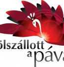 A Fölszállott a páva ismét a gyerekeké!