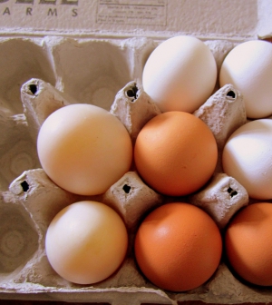 Hogyan válassz tojást húsvét előtt?