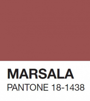 2015 hivatalos színe a Marsala lett!