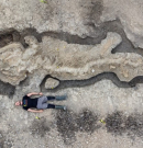 Az eddigi legnagyobb nagy-britanniai halgyíkfosszíliát találták meg egy víztározóban
