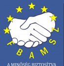 Mintegy 100 ezer kötelező biztosítást cserélnek le az év végi kampányban szakértők szerint
