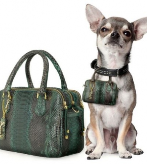 Ne csak magadnak vegyél táskát, hanem a kutyusodnak is!