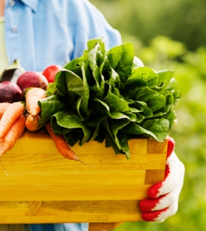 Zöldségek és gyümölcsök: Megéri a bioterméket megvásárolni?