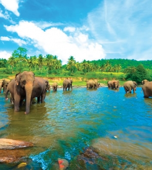 Óh, az a csodálatos Srí Lanka!
