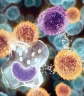 Amikor a szervezet nem reagál az antibiotikumos kezelésre