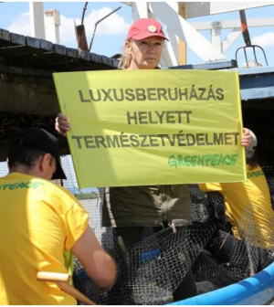 Fecskéket mentett Udvaros Dorottya és a Greenpeace a Fertő tavi luxusberuházástól