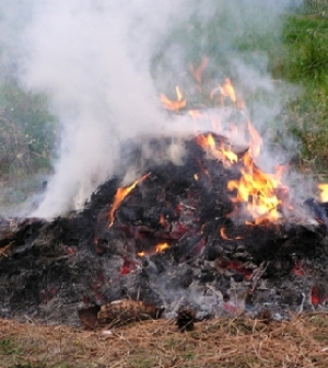 Brutális mennyiségű mérgező, rákkeltő anyag kerül a szervezetünkbe, ha hulladékot égetünk