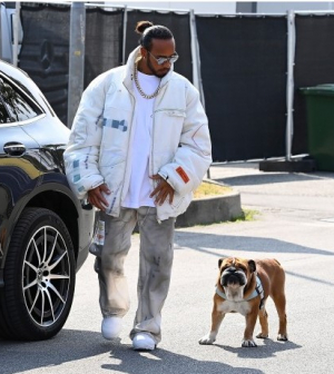 Börtönnel fenyegetik Hamiltont vegán kutyája miatt